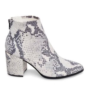 Steve Madden Bootie